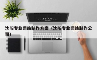 五家渠沈阳专业网站制作方案（沈阳专业网站制作公司）